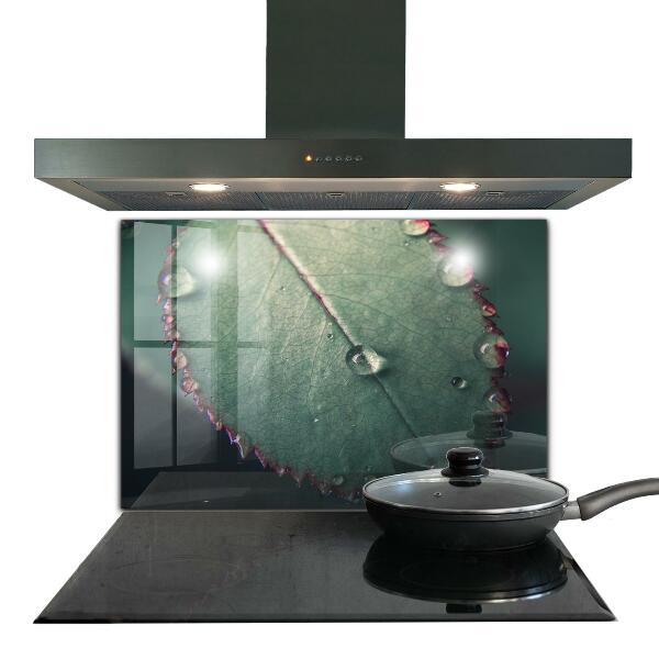 Paneles de pared Hoja con una gota de rocío