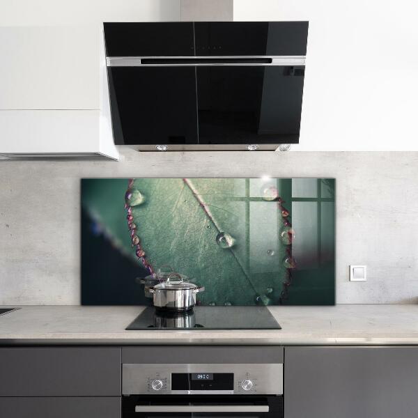 Paneles de pared Hoja con una gota de rocío