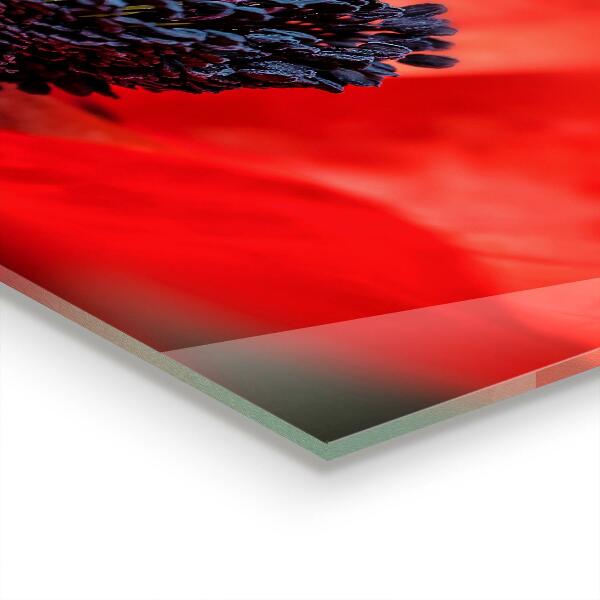 Paneles de pared Detalles de amapola roja