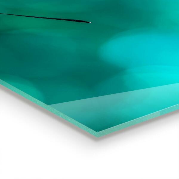 Paneles de pared Hermosa mariposa en la naturaleza