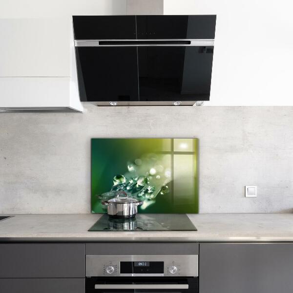 Paneles de vidrio para la cocina Rocío sobre hojas verdes