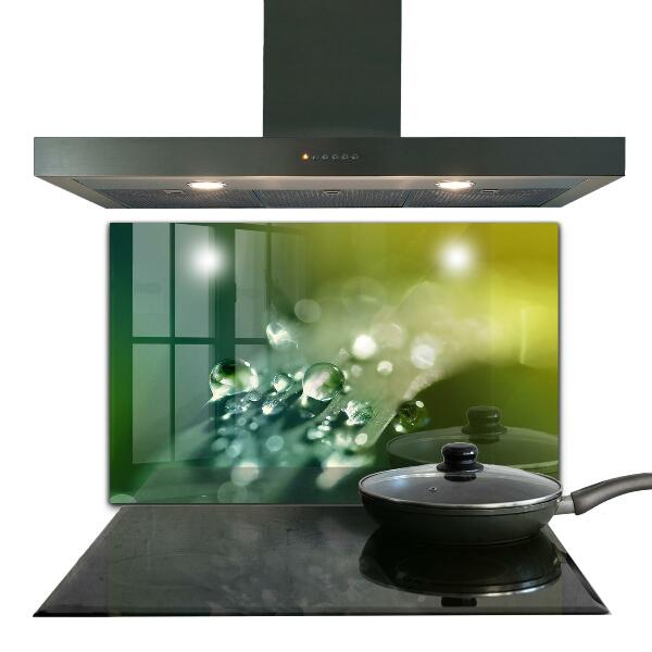 Paneles de vidrio para la cocina Rocío sobre hojas verdes