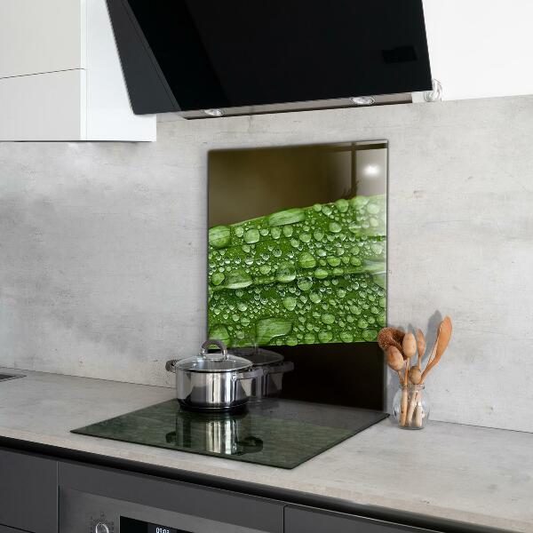 Paneles de vidrio para la cocina Hoja verde después de la lluvia