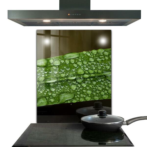 Paneles de vidrio para la cocina Hoja verde después de la lluvia