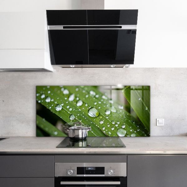 Paneles de vidrio para la cocina Gotas de rocío sobre la hierba