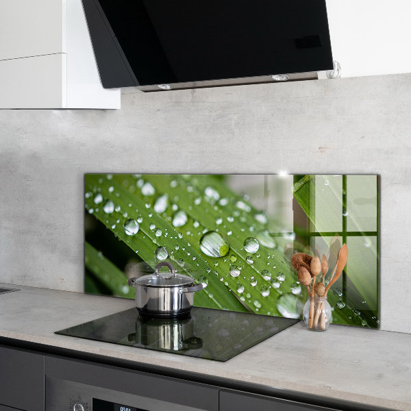 Paneles de vidrio para la cocina Gotas de rocío sobre la hierba