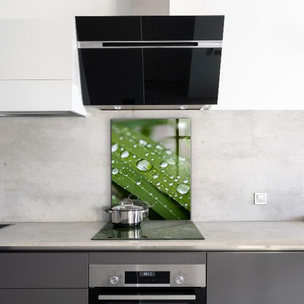 Paneles de vidrio para la cocina Gotas de rocío sobre la hierba