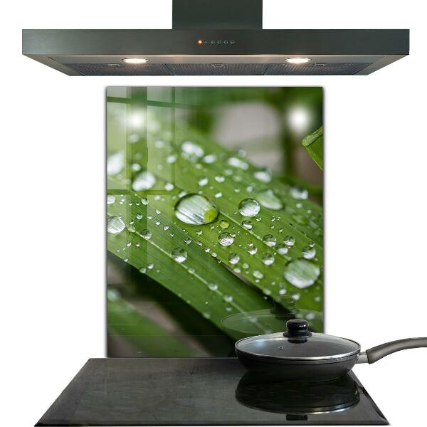 Paneles de vidrio para la cocina Gotas de rocío sobre la hierba