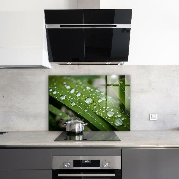 Paneles de vidrio para la cocina Gotas de rocío sobre la hierba