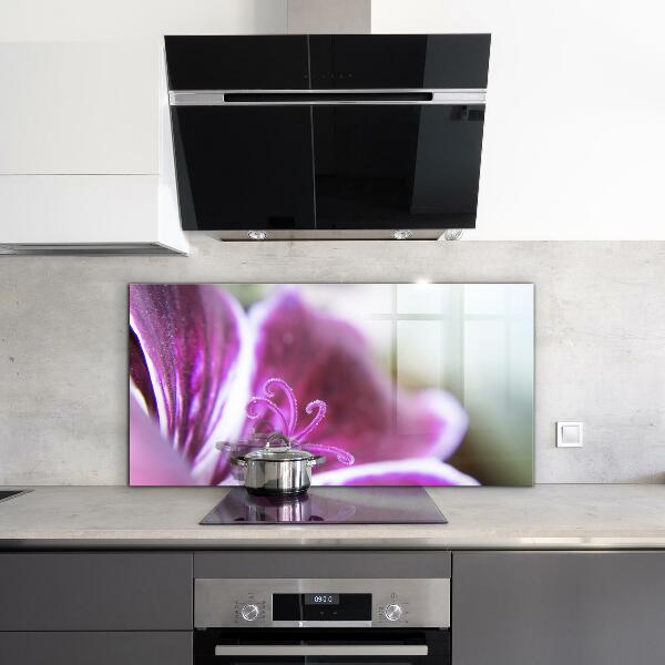 Paneles de vidrio para la cocina Detalles de la naturaleza de la flor rosa