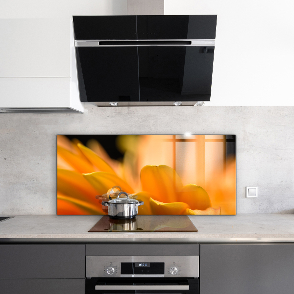 Paneles de vidrio para la cocina Flor de gerbera