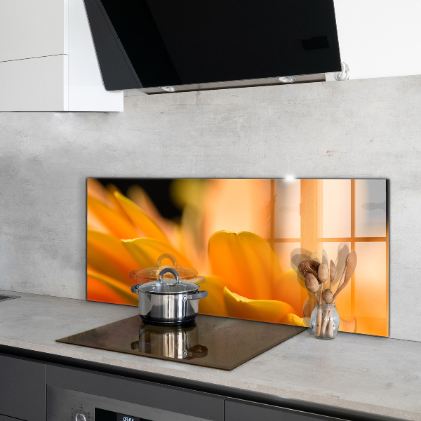 Paneles de vidrio para la cocina Flor de gerbera