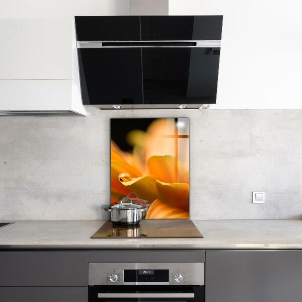 Paneles de vidrio para la cocina Flor de gerbera