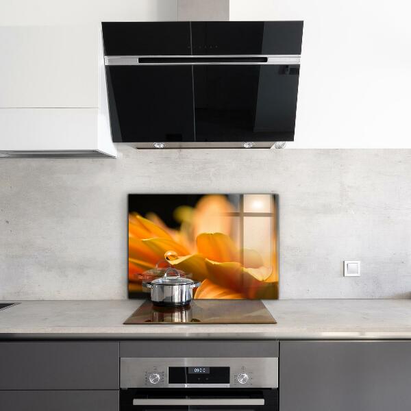 Paneles de vidrio para la cocina Flor de gerbera