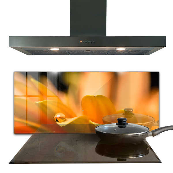 Paneles de vidrio para la cocina Flor de gerbera