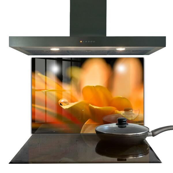 Paneles de vidrio para la cocina Flor de gerbera