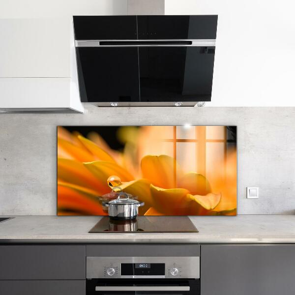 Paneles de vidrio para la cocina Flor de gerbera