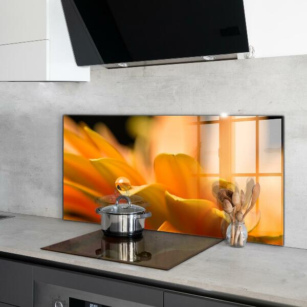 Paneles de vidrio para la cocina Flor de gerbera