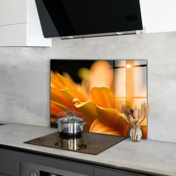 Paneles de vidrio para la cocina Flor de gerbera