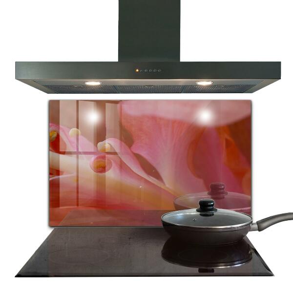 Paneles de vidrio para la cocina Flor polen naturaleza