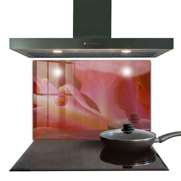 Paneles de vidrio para la cocina Flor polen naturaleza