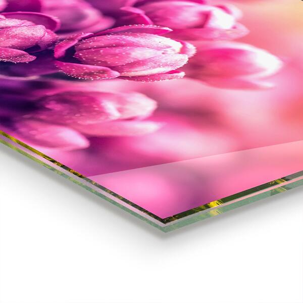 Paneles de vidrio para la cocina Belleza natural de los lirios rosados