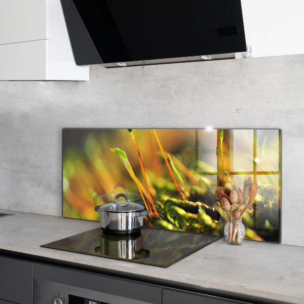 Paneles de vidrio para la cocina Detalles del musgo del bosque