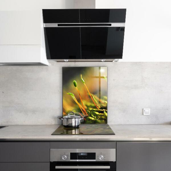 Paneles de vidrio para la cocina Detalles del musgo del bosque