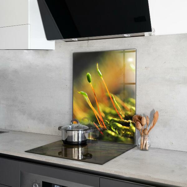 Paneles de vidrio para la cocina Detalles del musgo del bosque