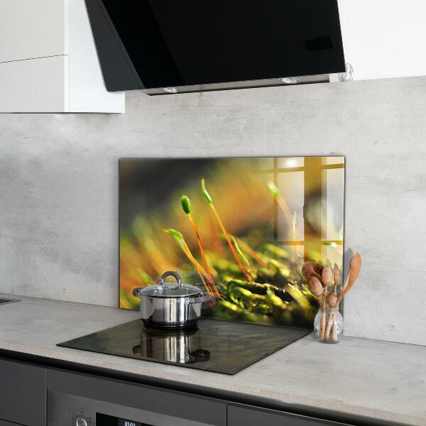 Paneles de vidrio para la cocina Detalles del musgo del bosque