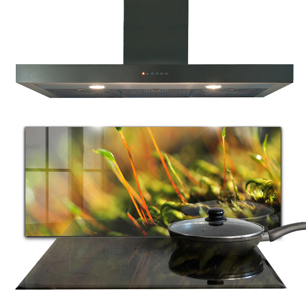 Paneles de vidrio para la cocina Detalles del musgo del bosque