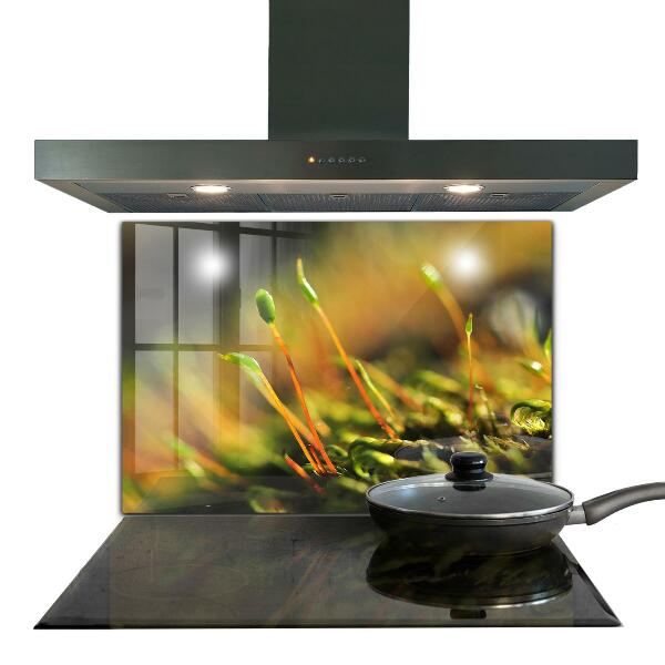 Paneles de vidrio para la cocina Detalles del musgo del bosque