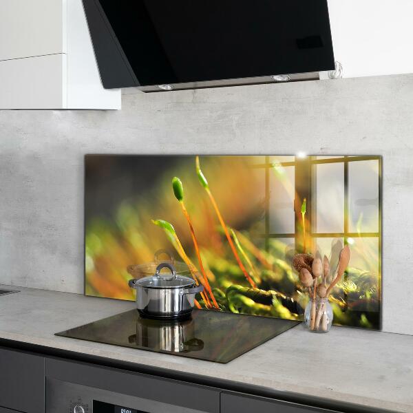 Paneles de vidrio para la cocina Detalles del musgo del bosque