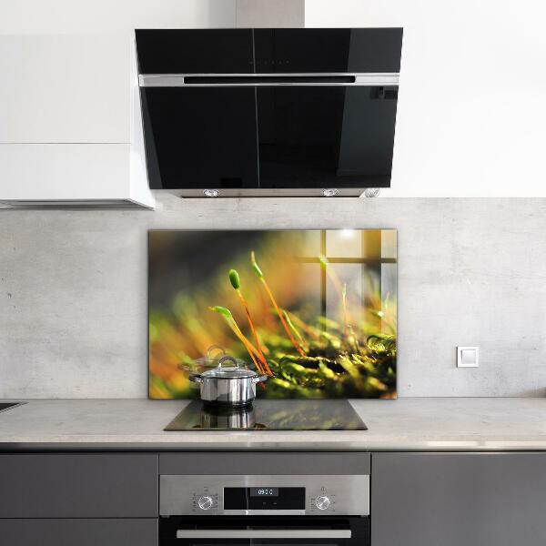 Paneles de vidrio para la cocina Detalles del musgo del bosque