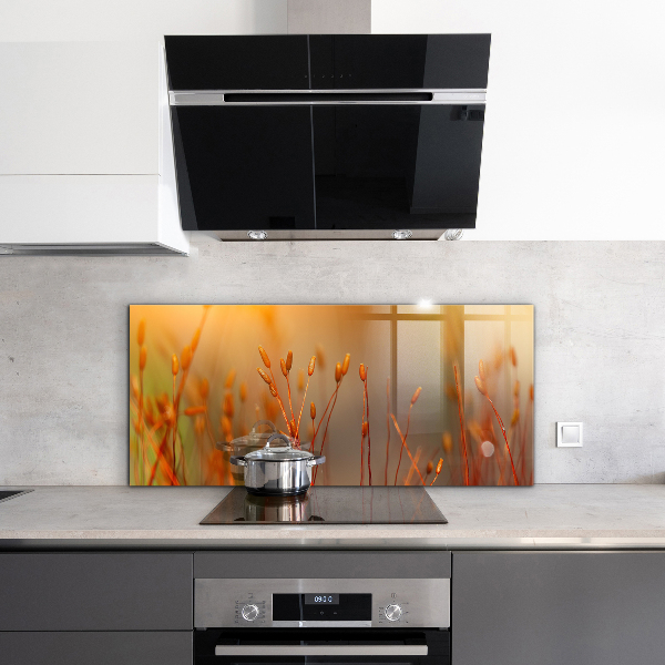 Paneles de vidrio para la cocina Campo de cereales al atardecer