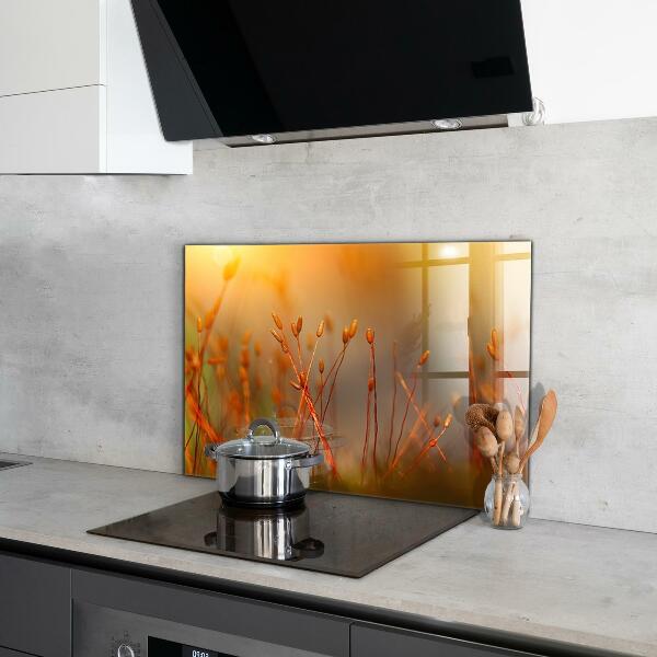 Paneles de vidrio para la cocina Campo de cereales al atardecer