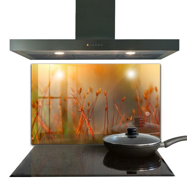 Paneles de vidrio para la cocina Campo de cereales al atardecer