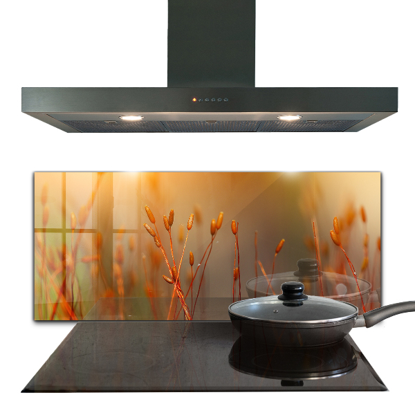 Paneles de vidrio para la cocina Campo de cereales al atardecer