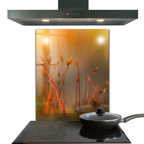 Paneles de vidrio para la cocina Campo de cereales al atardecer