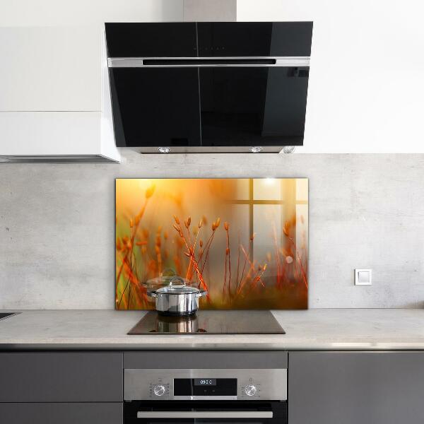 Paneles de vidrio para la cocina Campo de cereales al atardecer