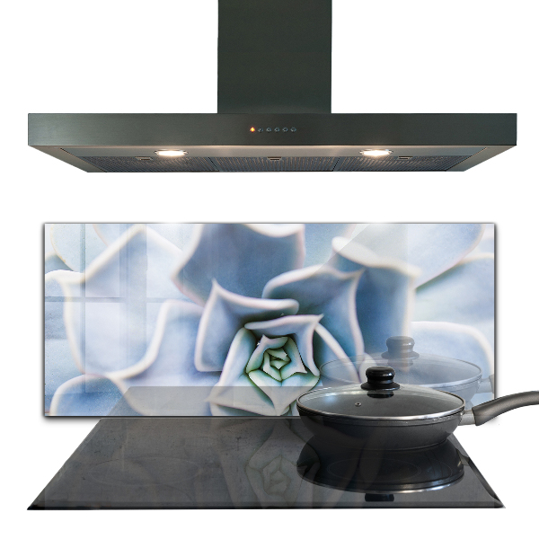 Paneles de vidrio para la cocina Cactus suculentas