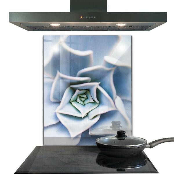 Paneles de vidrio para la cocina Cactus suculentas