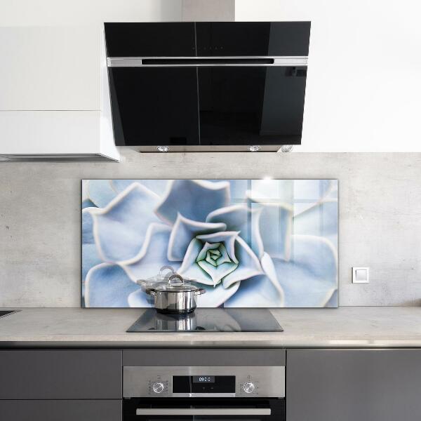 Paneles de vidrio para la cocina Cactus suculentas