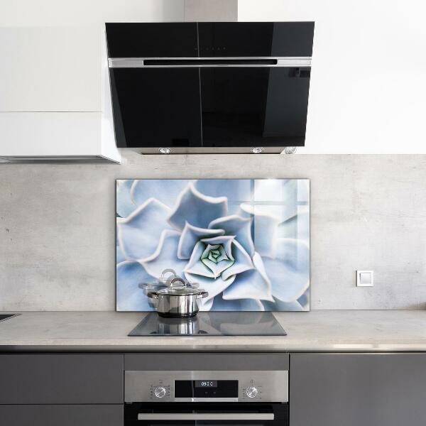 Paneles de vidrio para la cocina Cactus suculentas