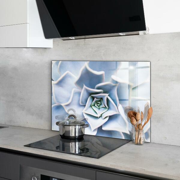 Paneles de vidrio para la cocina Cactus suculentas