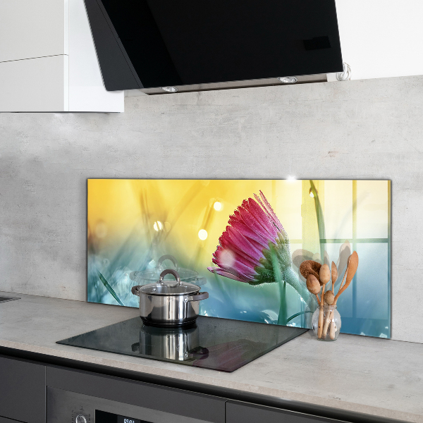 Paneles de vidrio para la cocina Margarita delicada en la pradera