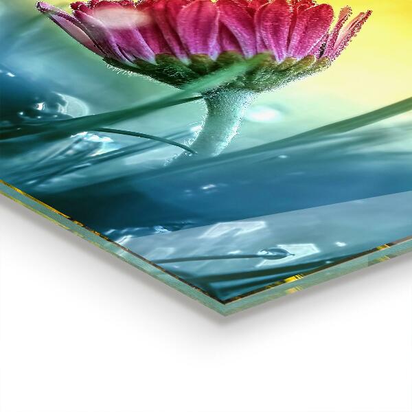 Paneles de vidrio para la cocina Margarita delicada en la pradera