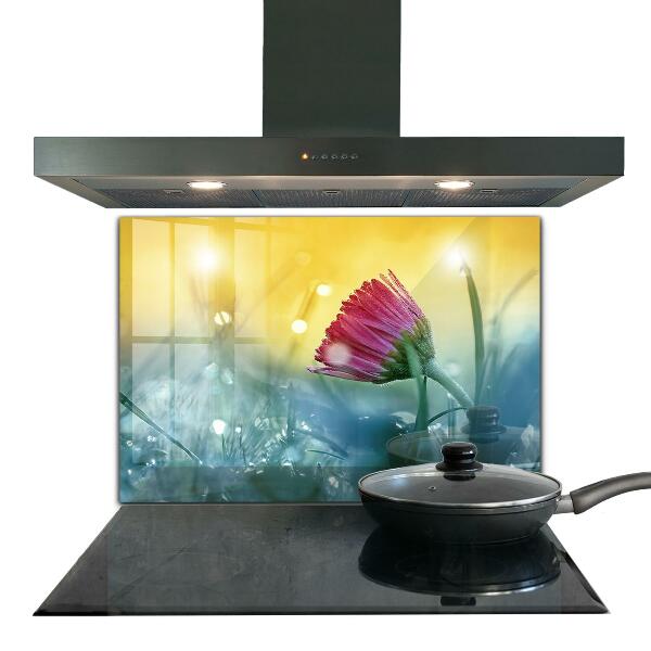 Paneles de vidrio para la cocina Margarita delicada en la pradera