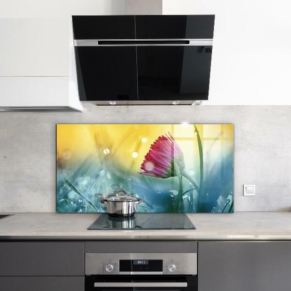 Paneles de vidrio para la cocina Margarita delicada en la pradera