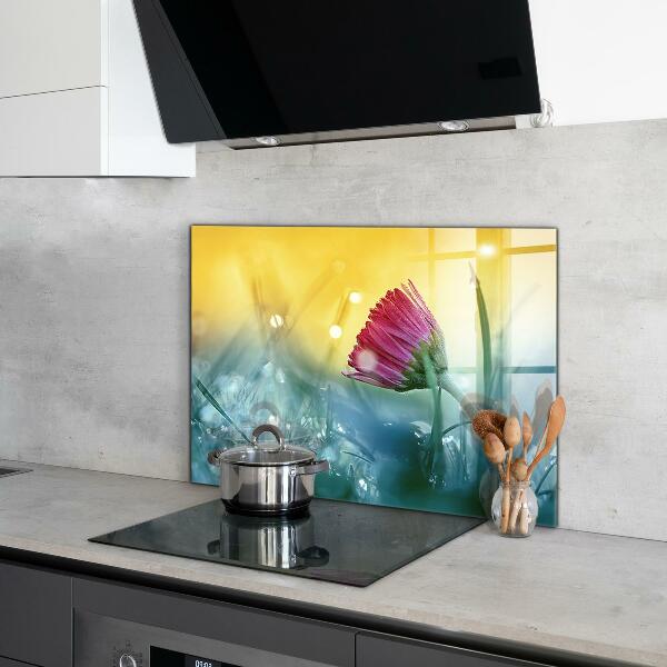 Paneles de vidrio para la cocina Margarita delicada en la pradera